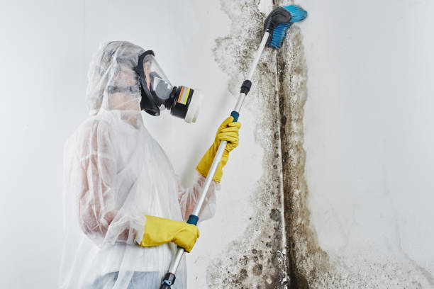 Best Commercial water damage restoration  in St Georges, DE