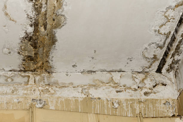 Best Water damage restoration cost  in St Georges, DE